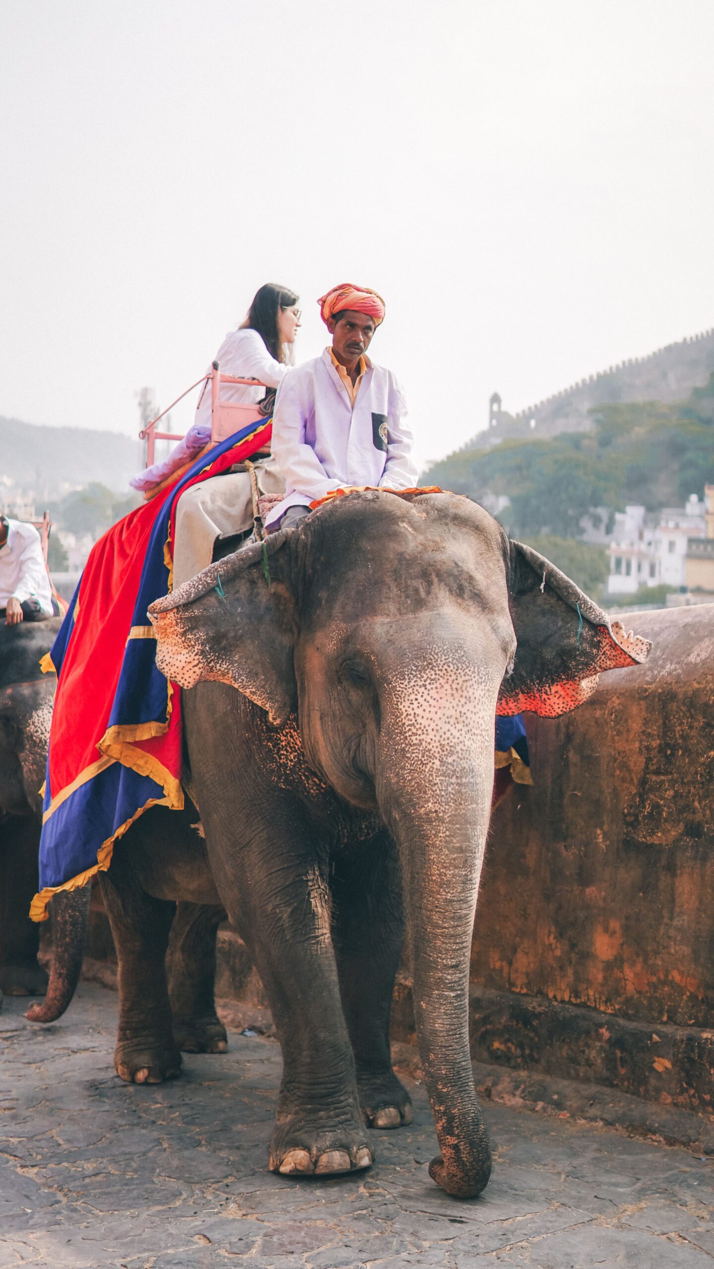 Travel in India: A Journey Through Diversity,