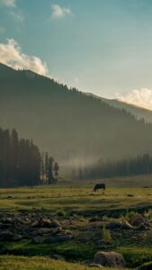 Discover the Beauty of Every Journey