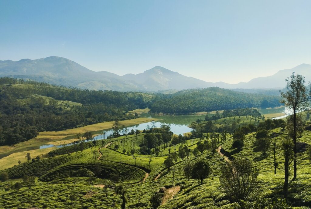 Best Places to Visit in Kerala: A Complete Travel Guide